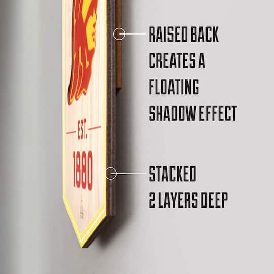 MLB 6" x 19" 3D StadiumView Banner
